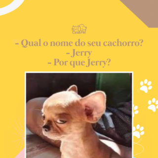 Por que será? 😂 #meme #jerry #dog