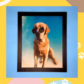 O estilo desse cãozinho nos deixou apaixonados! Olha a pose para sair no retrato CaraPet 😍 Não tem jeito, quando é para um produto com a cara dele, a foto sai perfeita! 😎